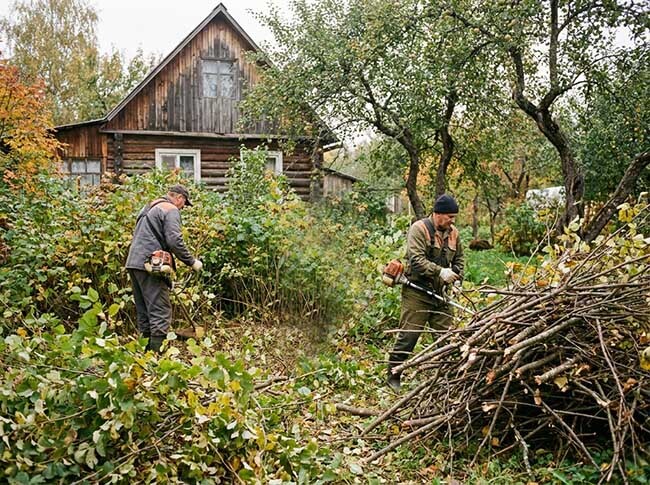 Расчистка участка от кустарников рабочими