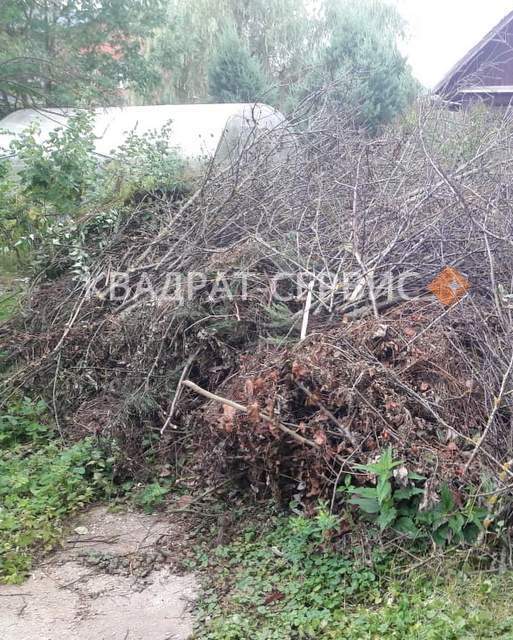 Ветки и древесные остатки после уборки территории частного дома