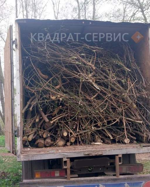 Ветки деревьев после расчистки участка в г. Бронницы