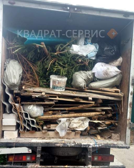 Вывоз старых деревьев и хлама Газелью в Малаховке
