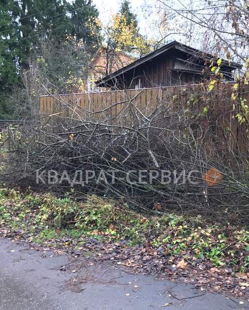 Древесные отходы после расчистки территории в Чупряково