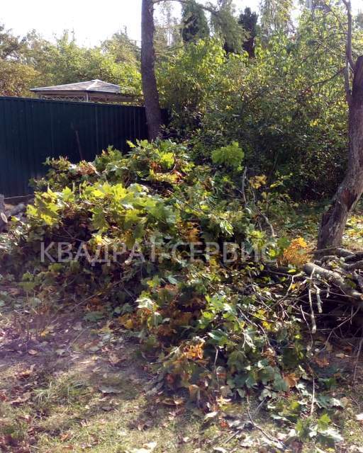 Ветки и древесные остатки после уборки придомовой территории