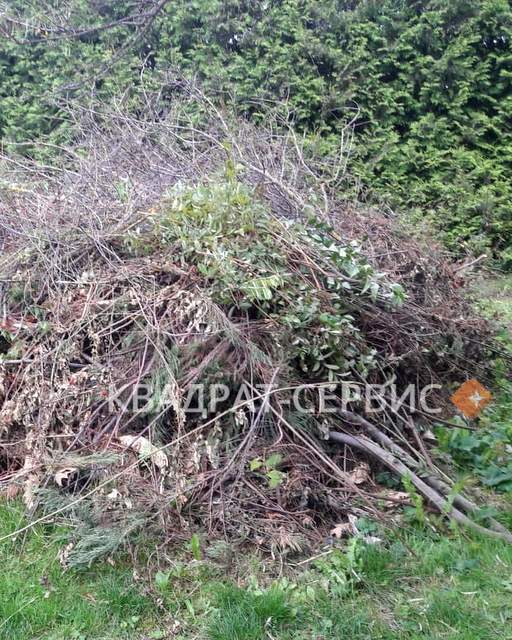 Ветки и древесные остатки после расчистки территории частного дома
