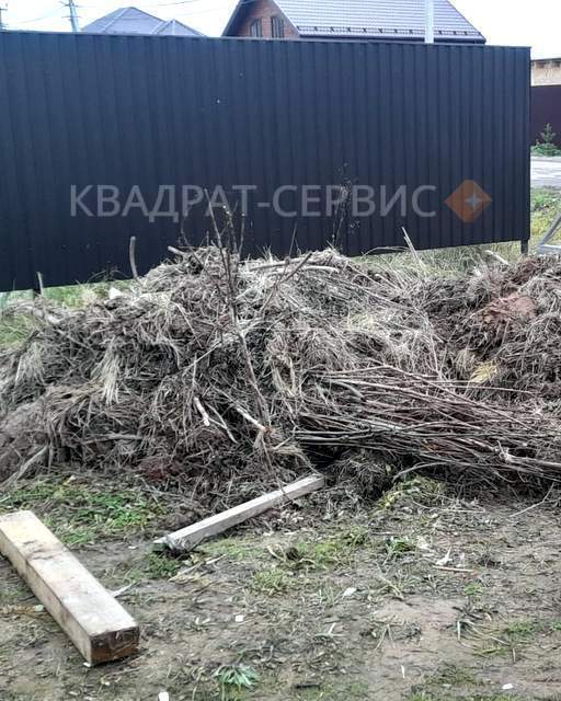 Ветки деревьев после расчистки участка в Апрелевке
