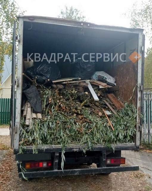 Ветки и древесный хлам после расчистки участка в Звенигороде