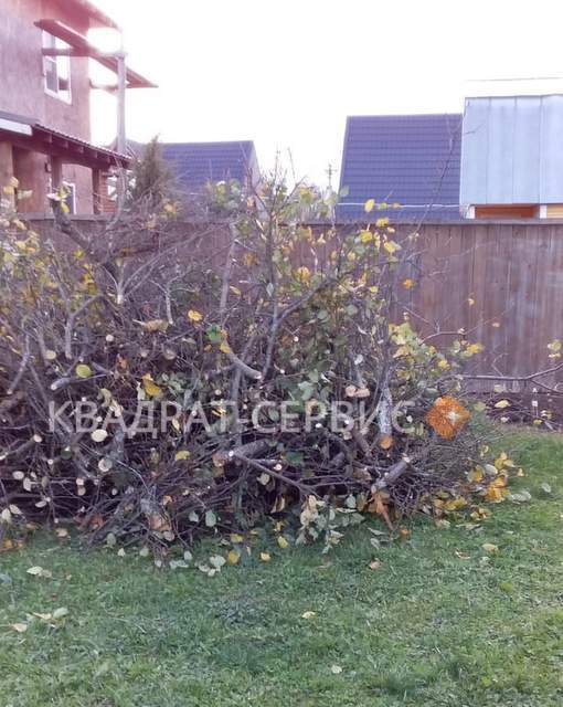 Спиленные ветки на дачном участке Чеховский район картинка