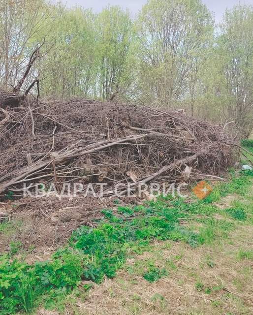 Ветки на участке Ветки на участке картинка