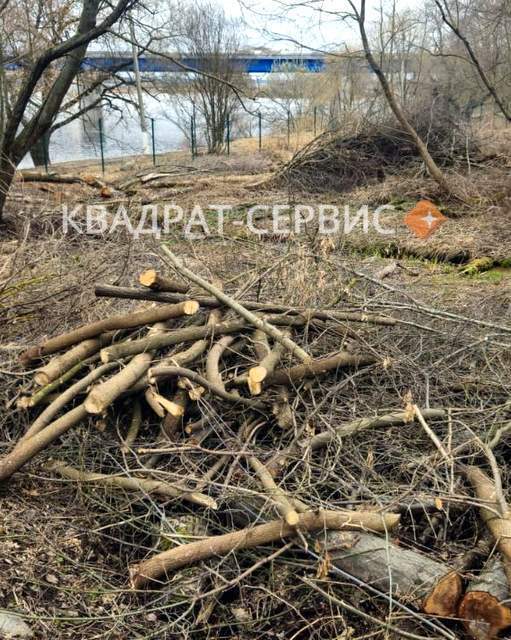 Спиленные ветки на участке для утилизации