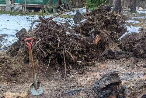 вывоз корней деревьев картинка