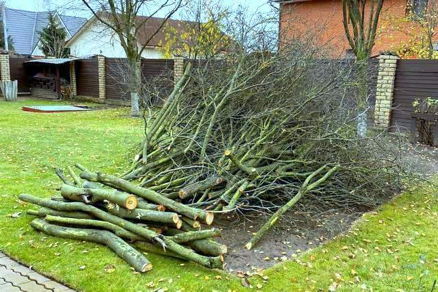 вывоз мусора с дачных участков картинка