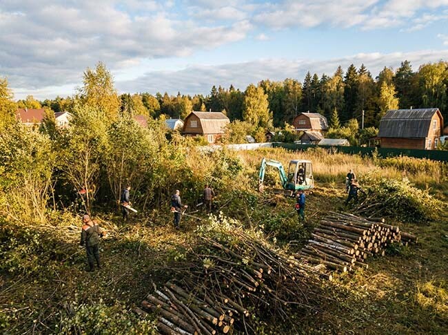Расчистка от кустов и деревьев Расчистка от кустов и деревьев территории